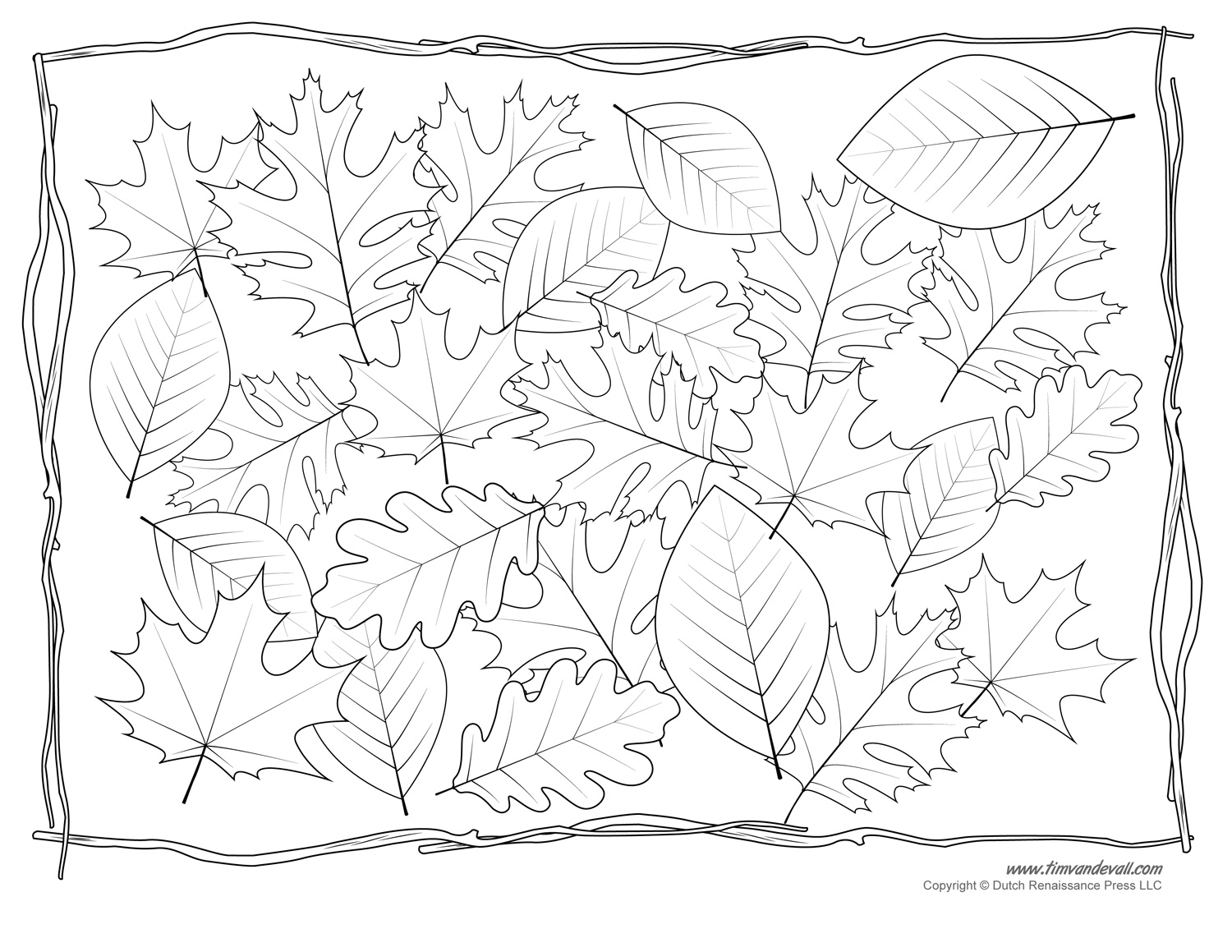 free printable leaf outline coloring pages