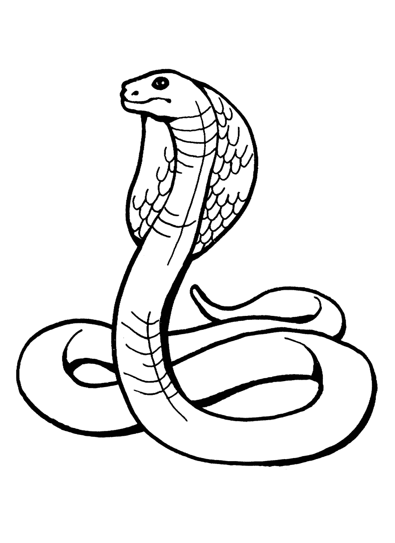 Coloring Snake Pages