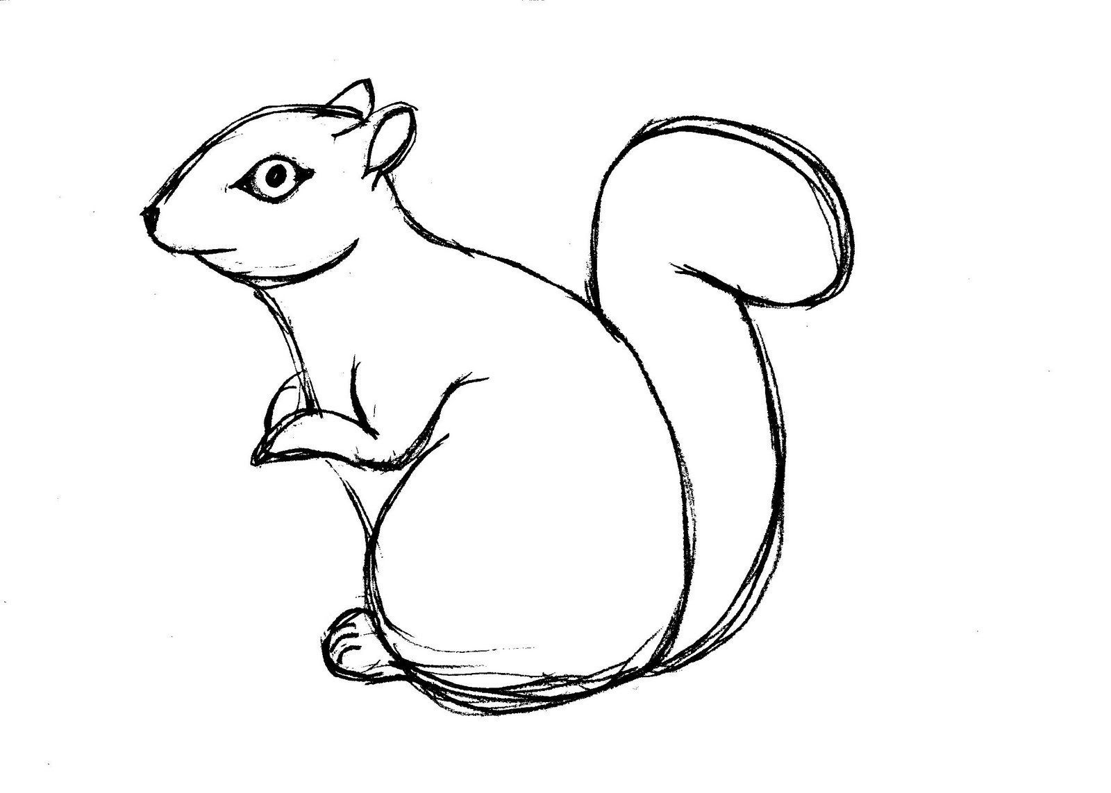 Squirrel Coloring Pages
