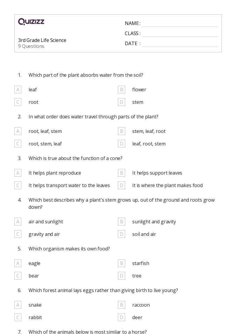 Free Science Worksheet For 5th Graders Download Free Science Worksheet 