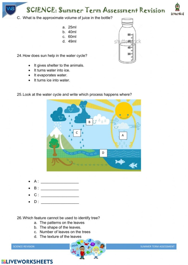 science worksheets for grade 3