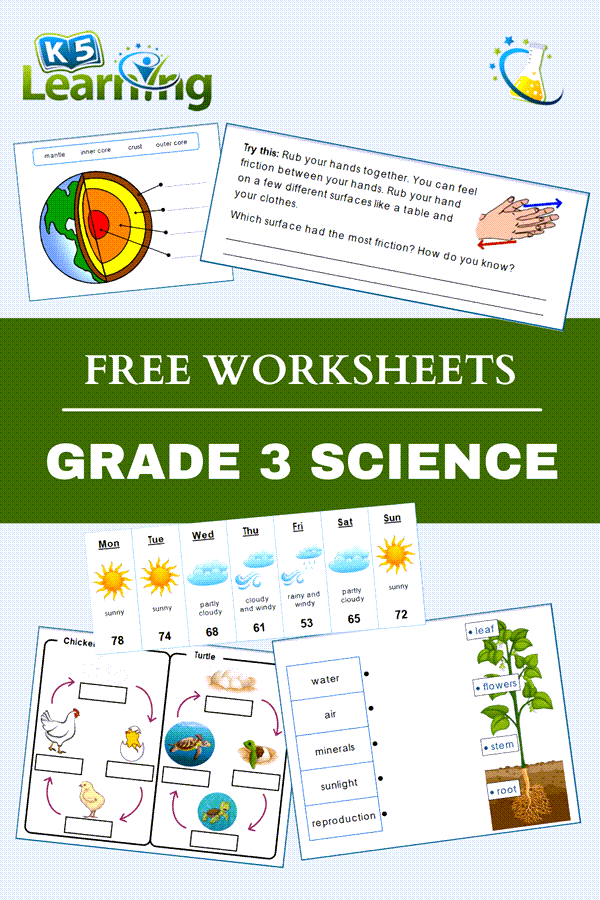 Grade 3 Science Worksheets Scienceworksheets