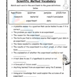 Grade 4 Scientific Method Worksheets 2024 Worksheets Library