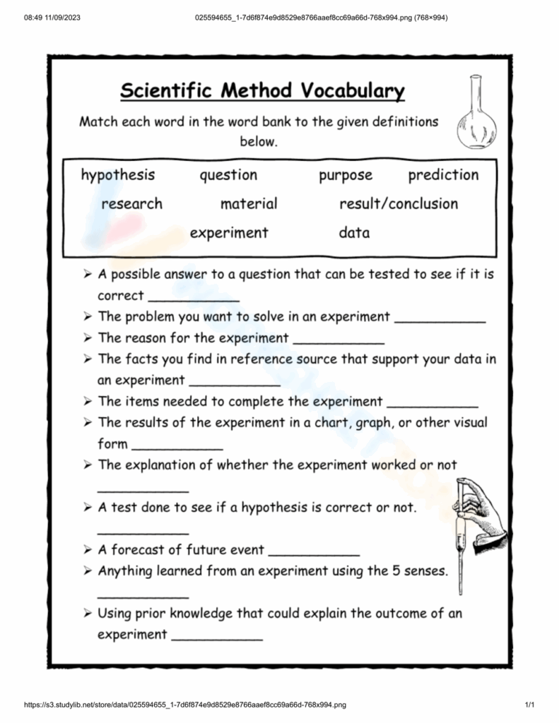 Grade 4 Scientific Method Worksheets 2024 Worksheets Library