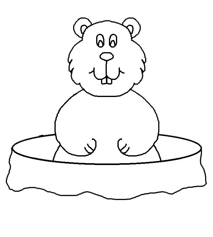 Groundhog Day Printable Coloring Page Coloringus