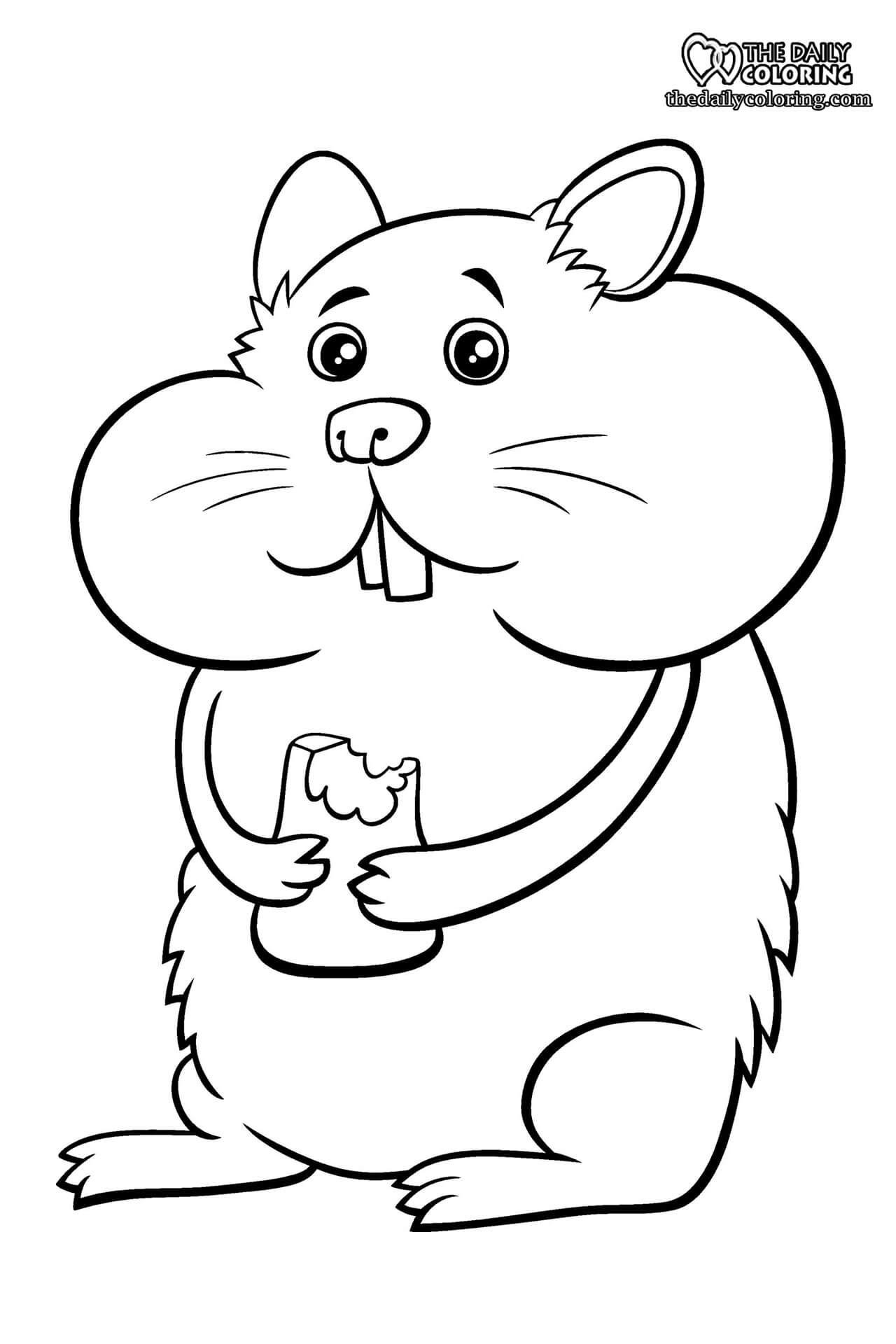 Hamster Coloring Page 2023 The Daily Coloring