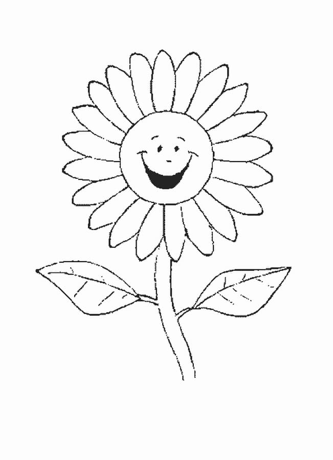 Happy Sunflower Coloring Page Free Printable Coloring Pages For Kids