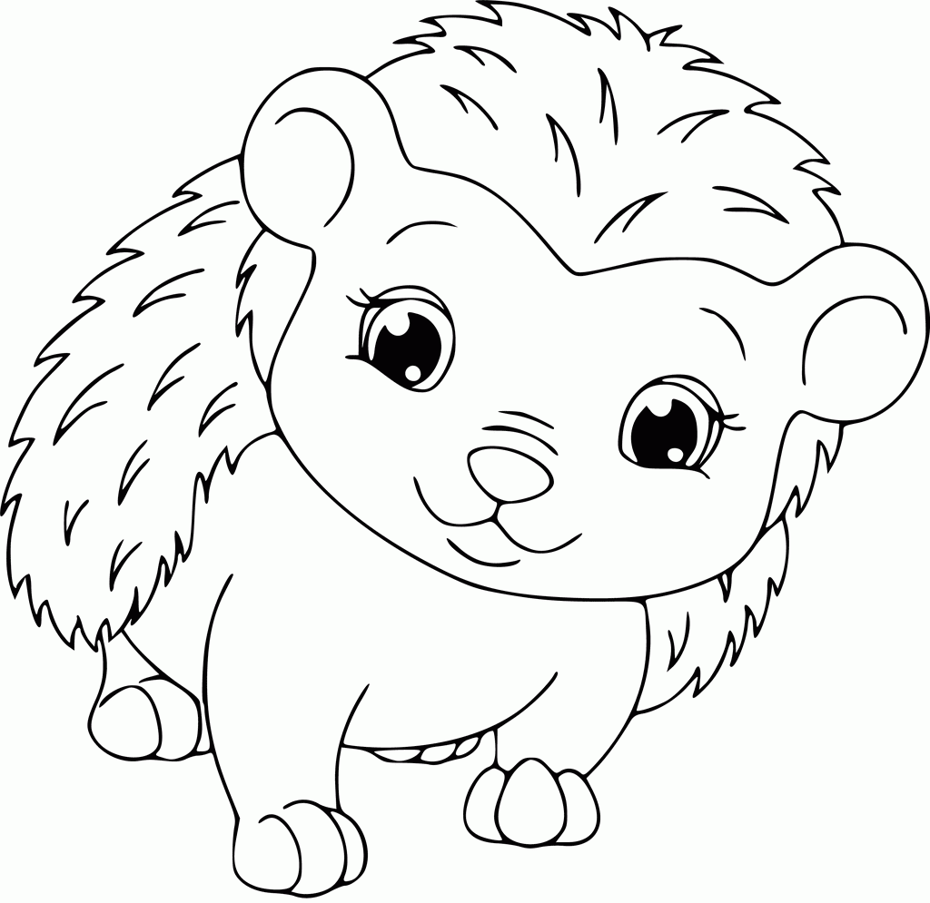 printable coloring pages hedgehog