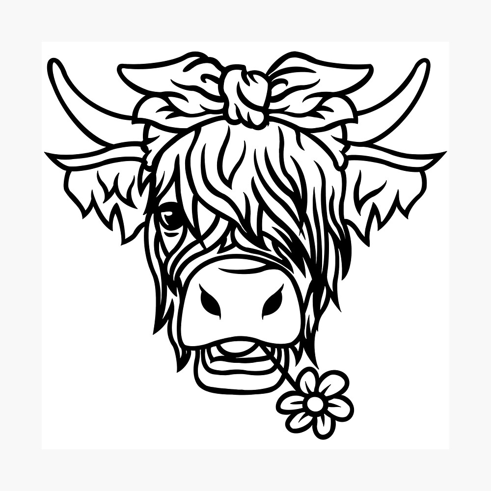 Highland Cow Coloring Pages Coloring Home