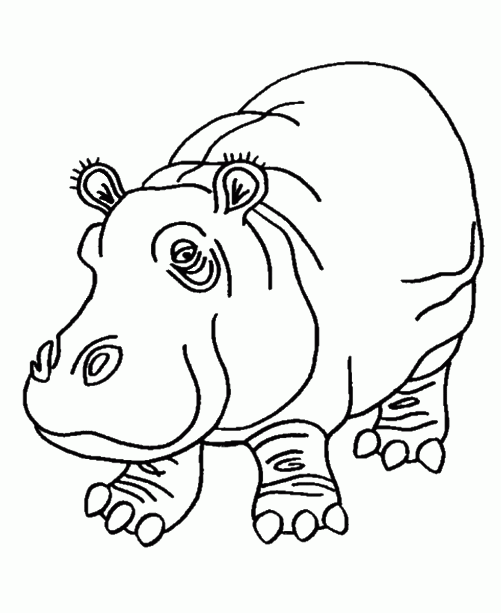Hippo Coloring Pages