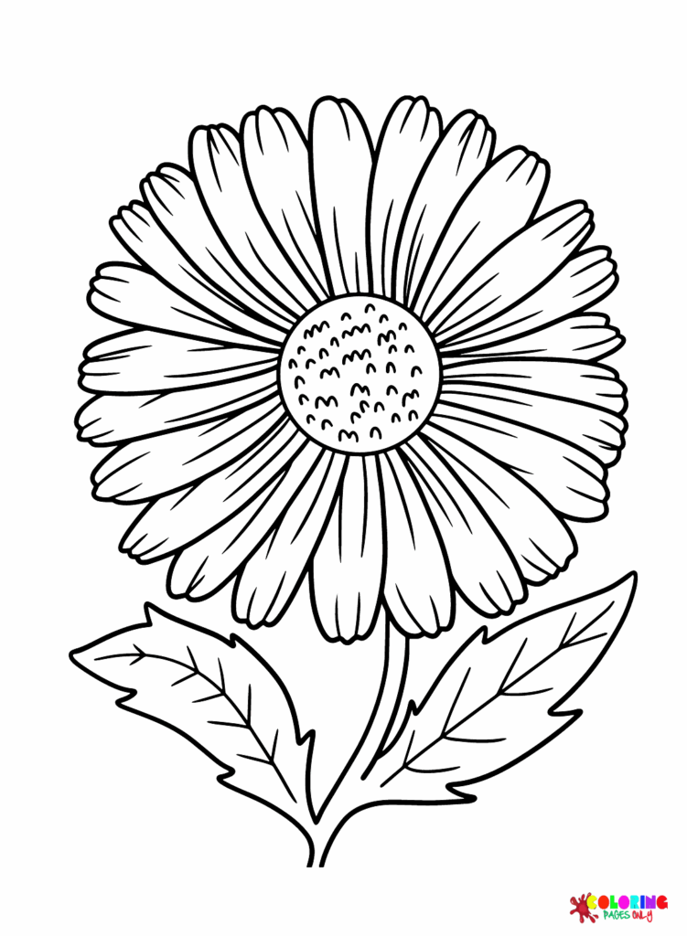 Images Daisy Coloring Page Free Printable Coloring Pages