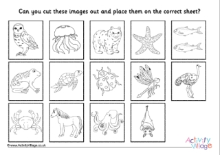 Invertebrate Or Vertebrate Dominoes teacher Made Twinkl 