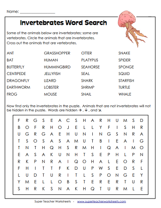 Invertebrates Worksheets And Activities Worksheets Library