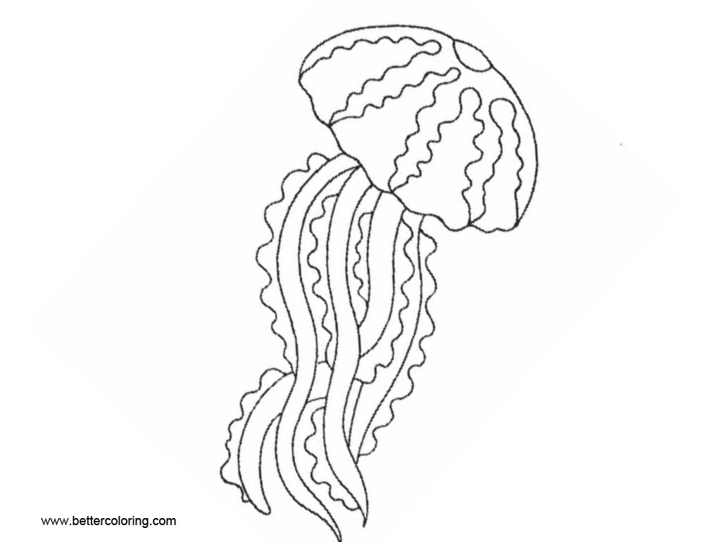 printable coloring pages jellyfish
