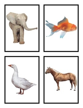 Journeys Sound Spelling Picture Cards By Mrs Hagners Kinders TPT