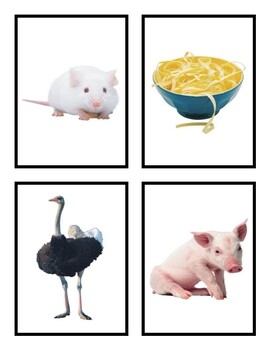 journeys sound spelling cards printable