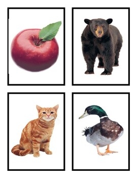Journeys Sound Spelling Picture Cards By Mrs Hagners Kinders TPT
