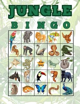 Jungle Bingo TPT Worksheets Library