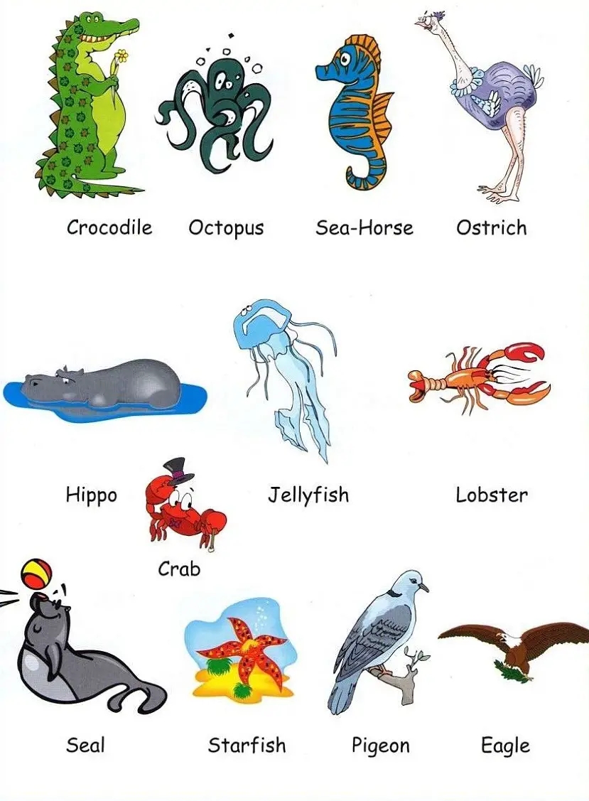 kids pictionary cards printable