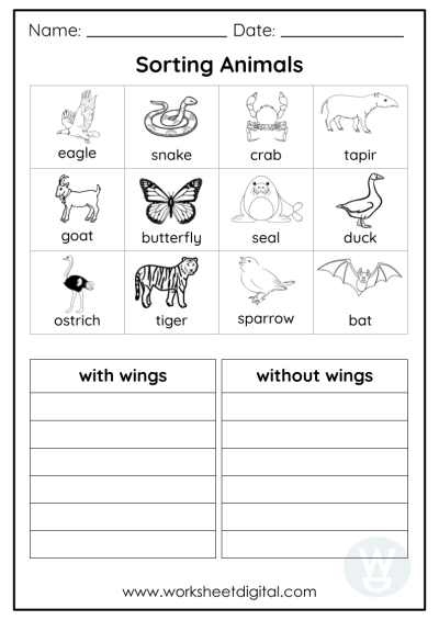 science worksheets for kindergarten