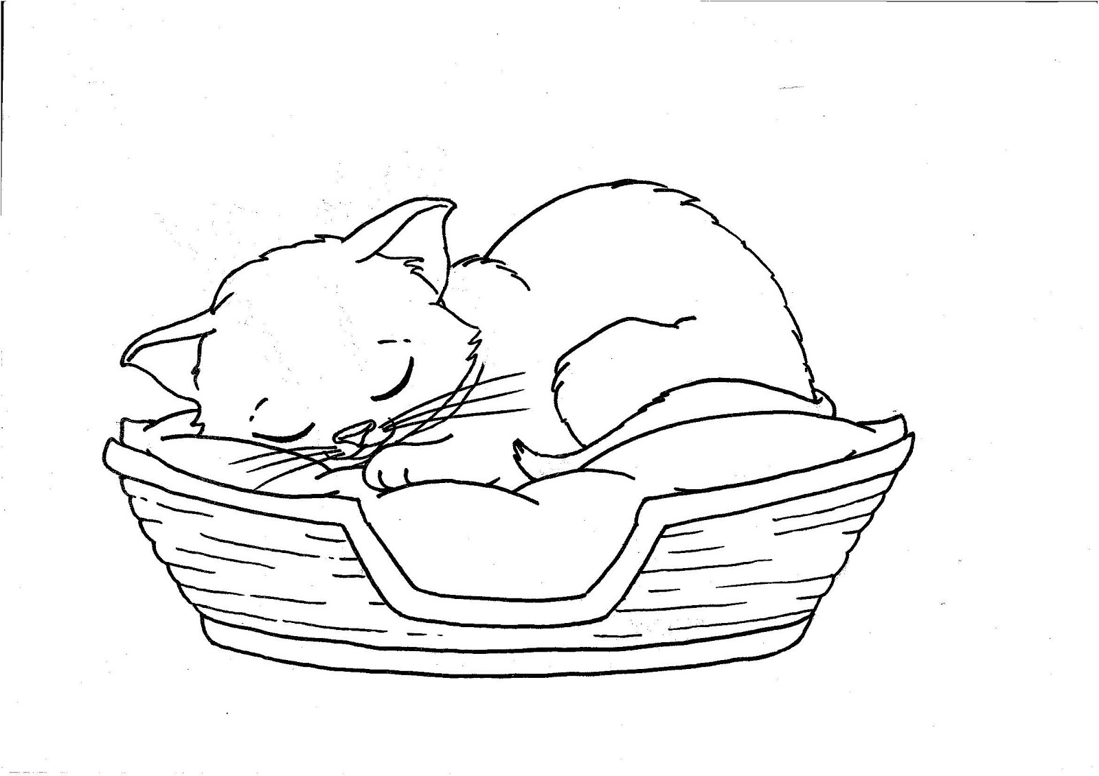 Printable Kitten Coloring Pages