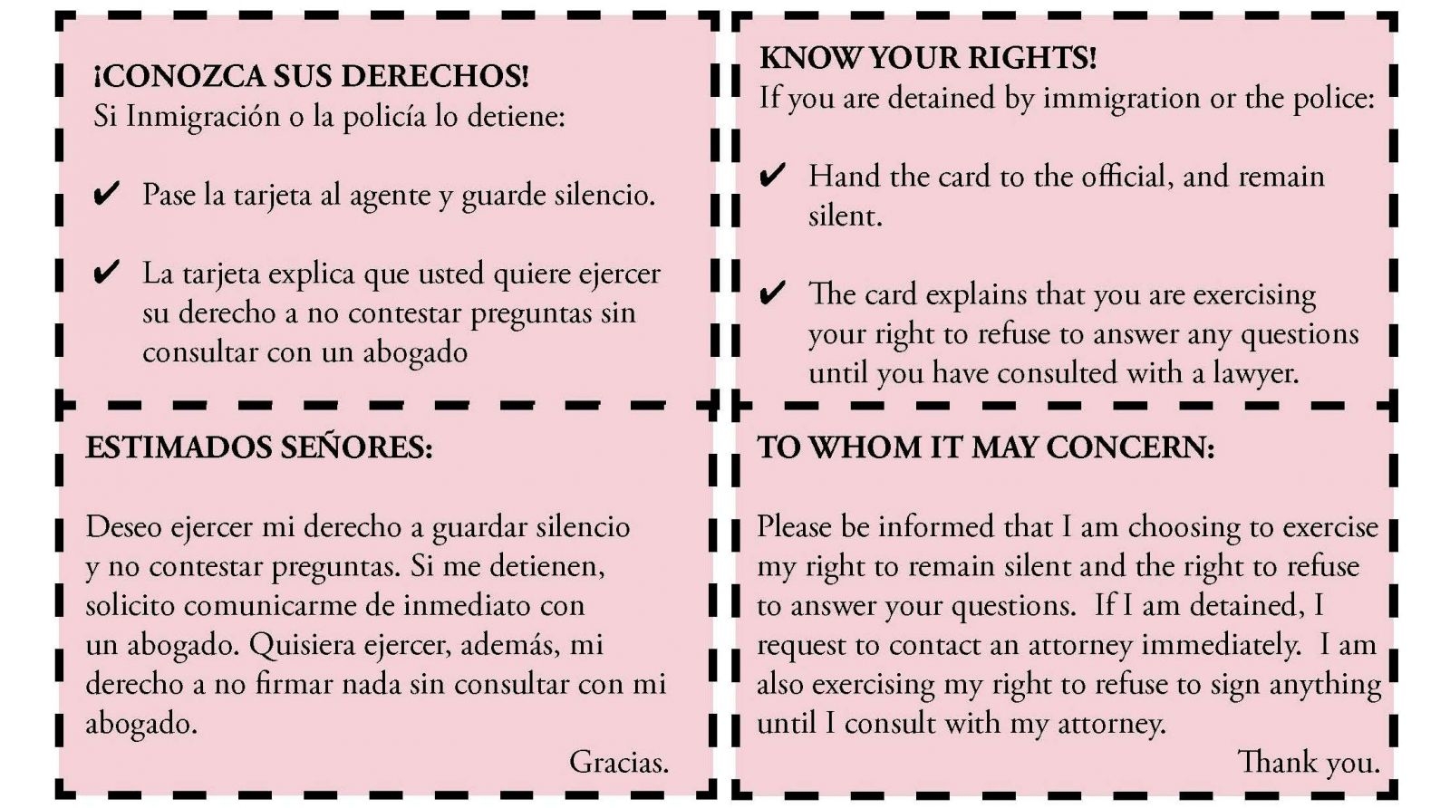 Know Your Rights Danielle Ross Attorney