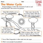 Labeling The Water Cycle Worksheet Answers Pdf Thekidsworksheet