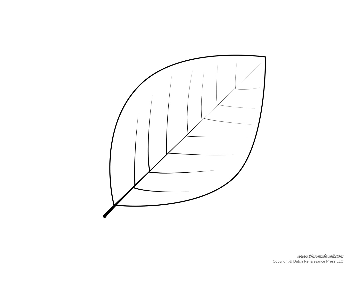 Large Leaf Template Leaf Template Leaf Template Print Vrogue co