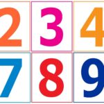 Large Printable Number Flash Cards For Kids