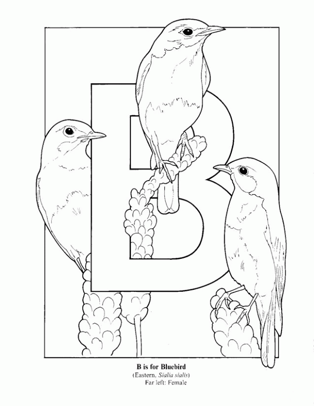 Letter B Coloring Pages Printable Coloring Home