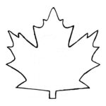 Maple Leaf Template Free Printable ClipArt Best