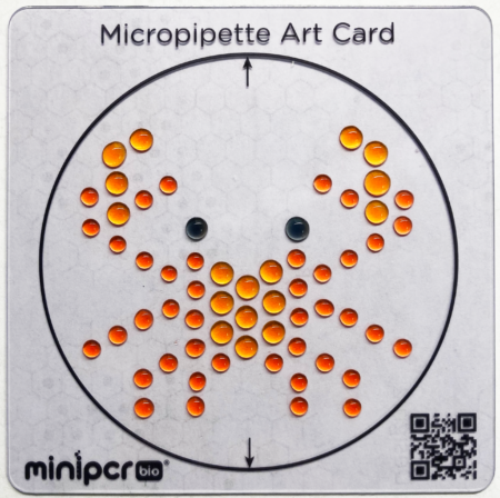 Micropipette Art Cards Set Of 8 MiniPCR Bio