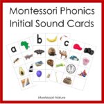 Montessori Phonics Initial Sound Cards Without Borders Montessori