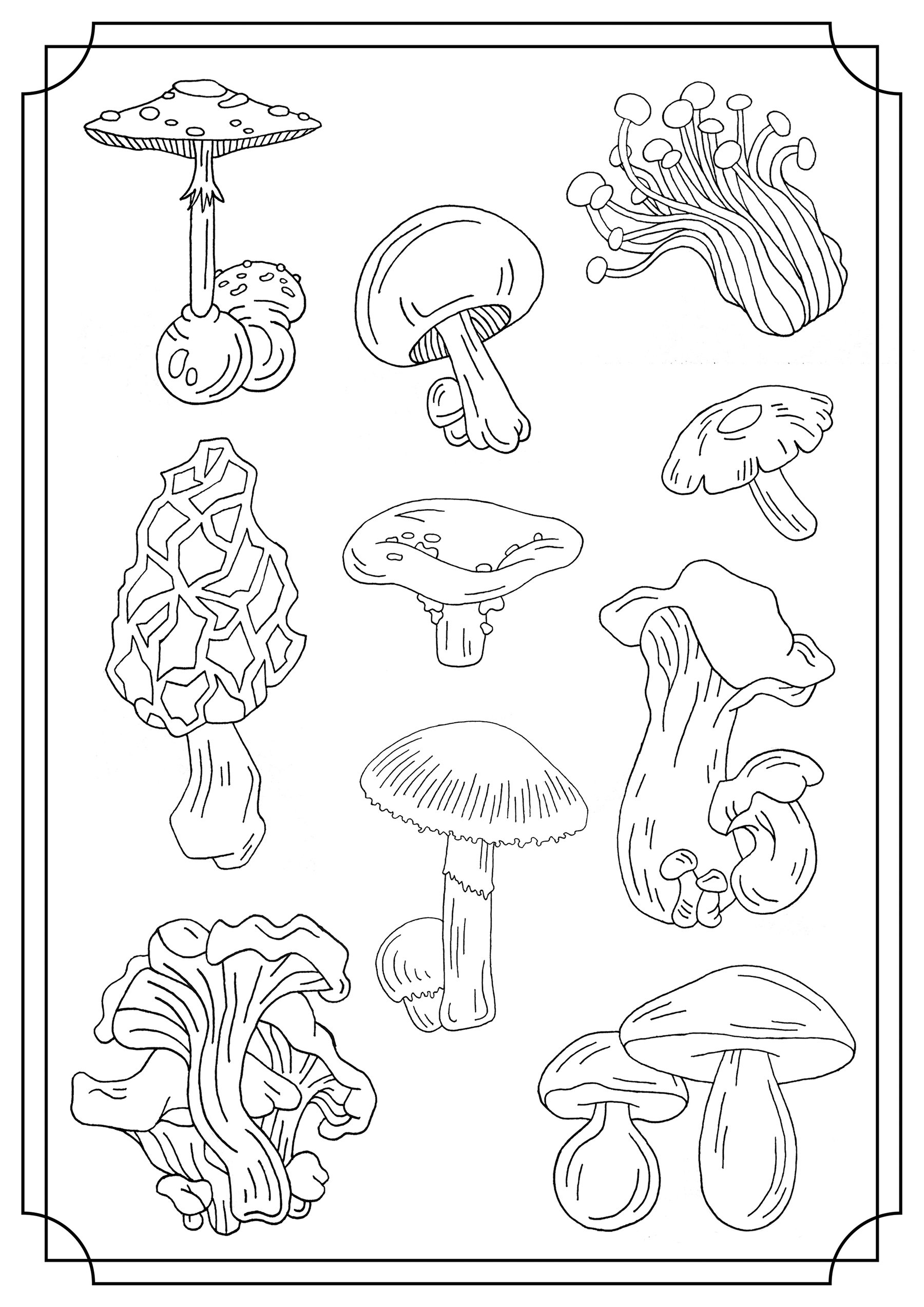 Mushrooms single Mushroom Coloring Pages