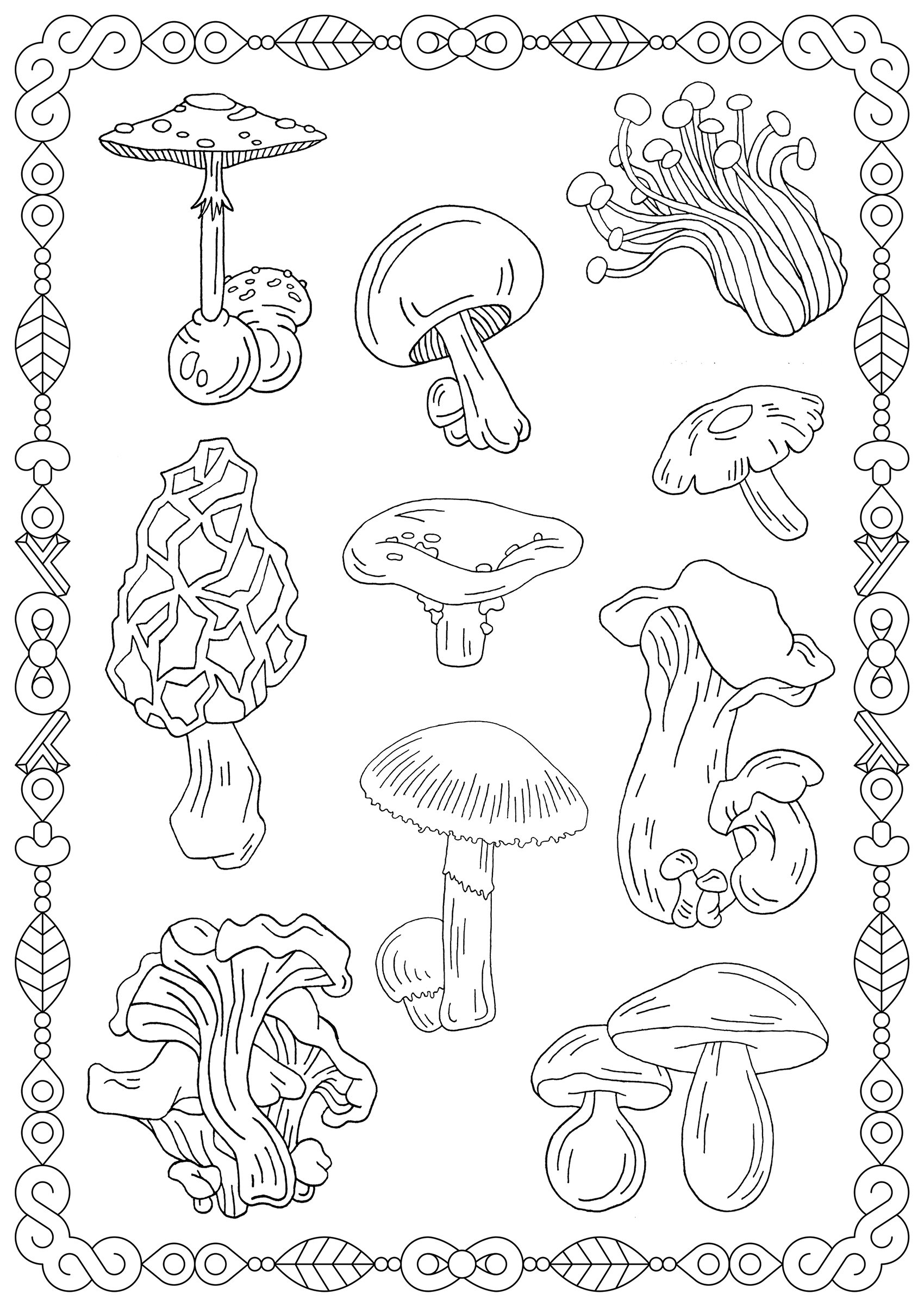 Mushrooms With Frame Mushroom Coloring Pages For Kids
