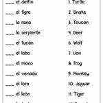 Noun Adjective Agreement Spanish Worksheet Answers