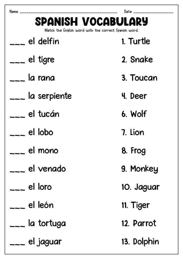 Noun Adjective Agreement Spanish Worksheet Answers