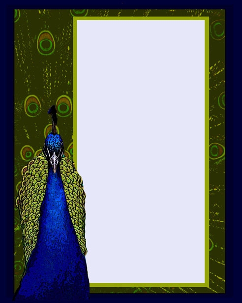 Peacock Invitation Template Free Stock Photo Public Domain Pictures