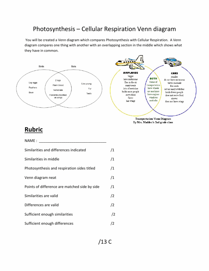 Photosynthesis And Cellular Respiration Worksheet Laney Lee