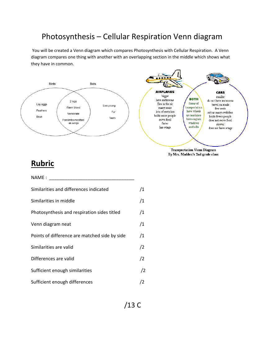 Photosynthesis And Cellular Respiration Worksheet Laney Lee 