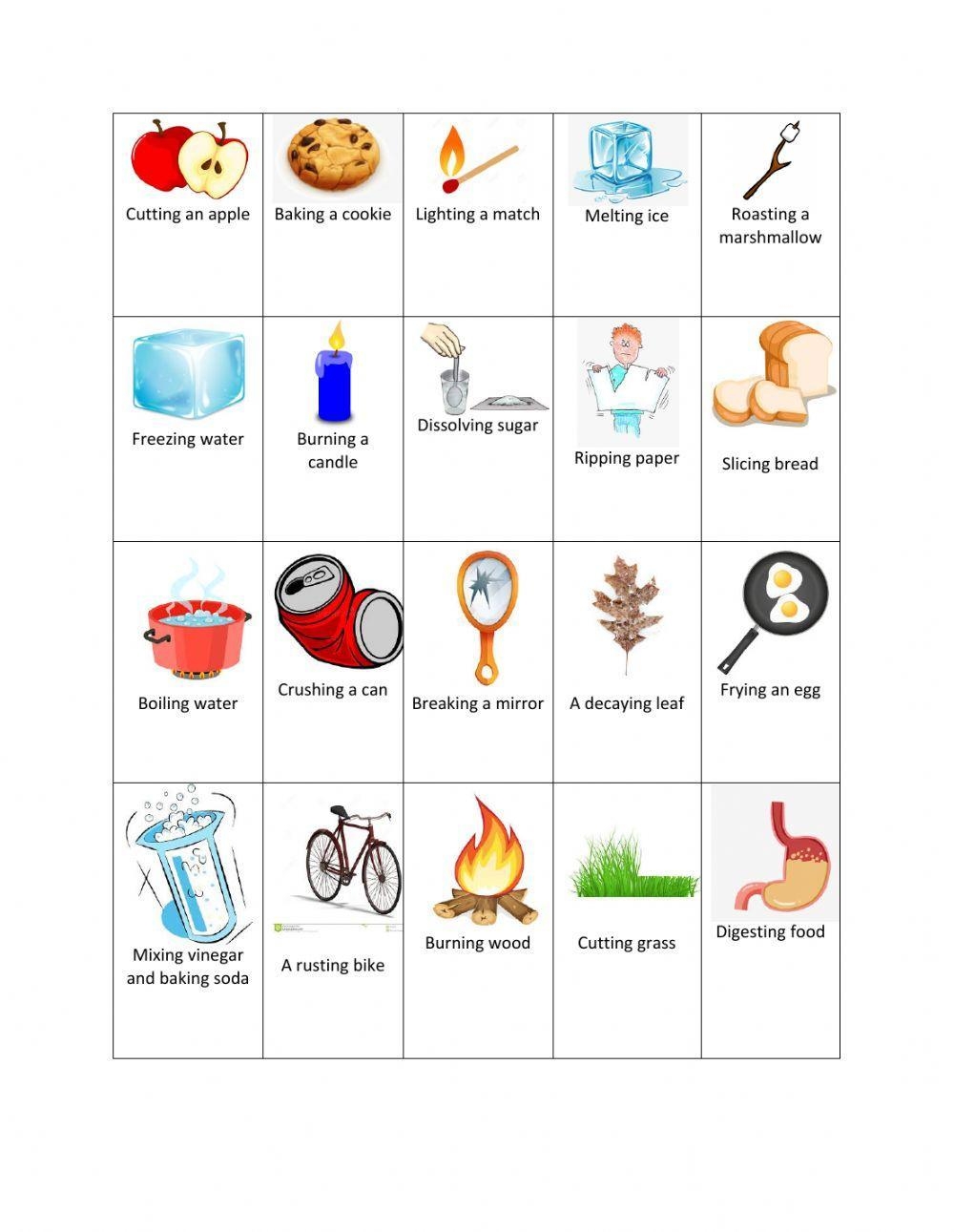 Physical And Chemical Changes Worksheet pdf Worksheets Library