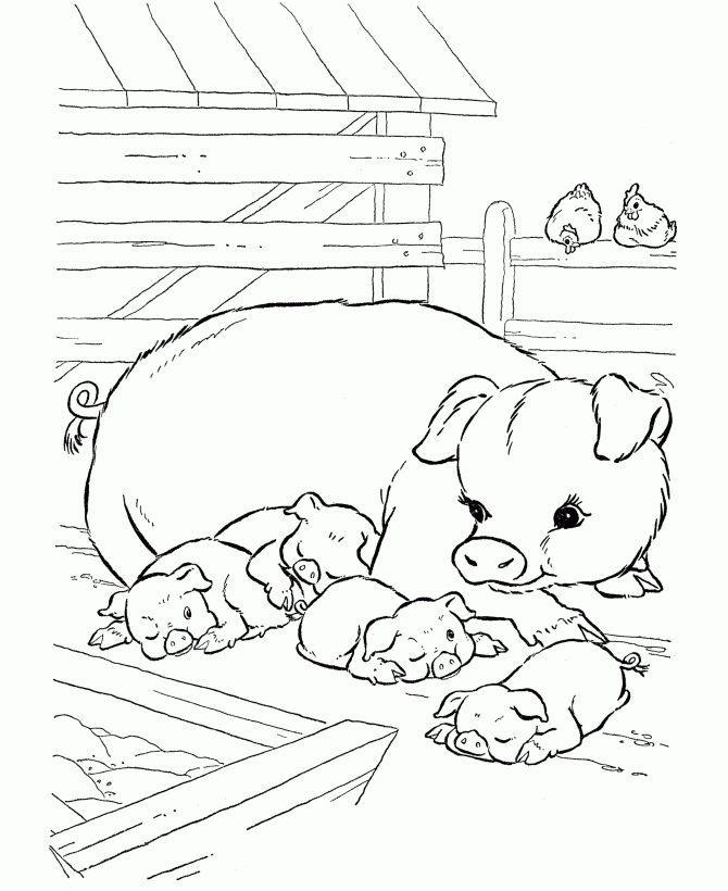 Pigs Coloring Pages Coloring Home