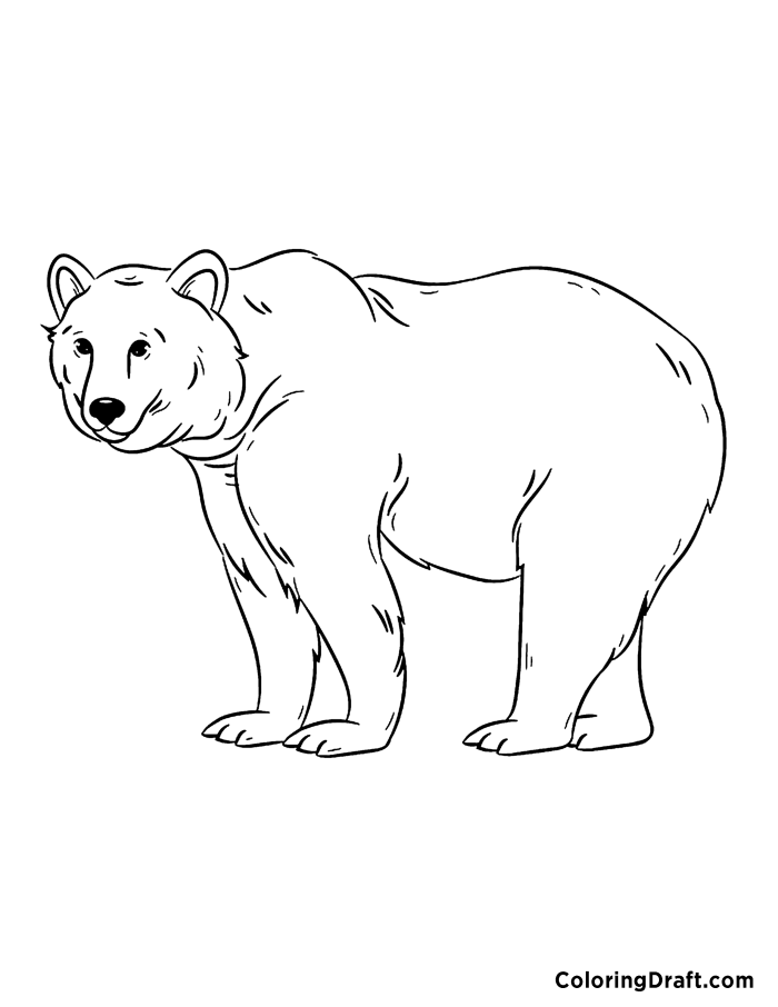 Polar Bear Coloring Pages ColoringDraft