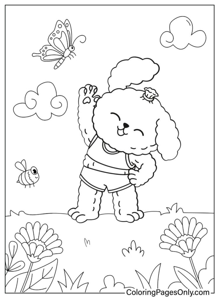 Poodle Dog Color Page Free Printable Coloring Pages