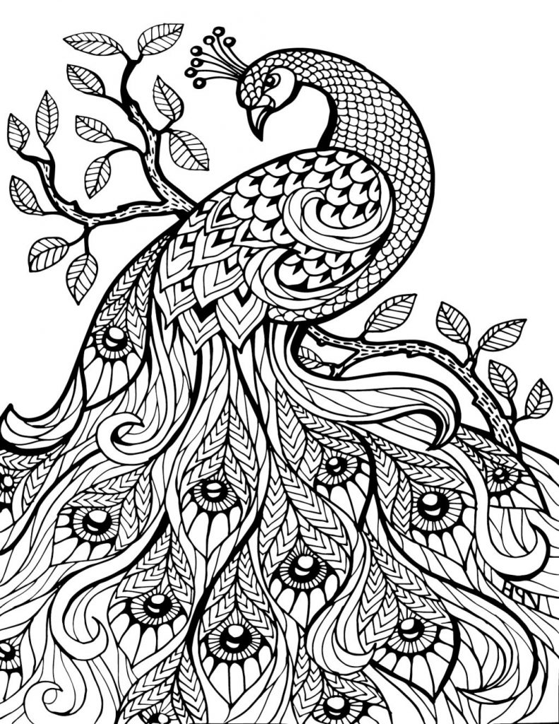 Pretty Coloring Pages At GetDrawings Free Download
