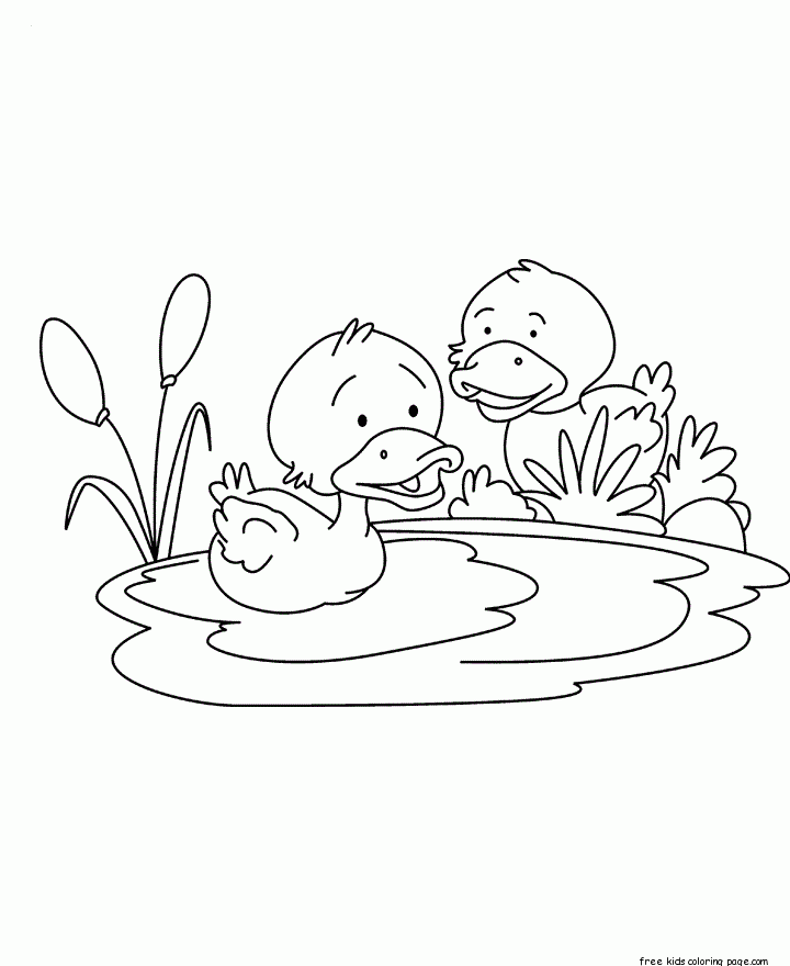 Printable Baby Duck Coloring Page Free Printable Coloring Pages For 