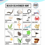 Printable Beach Scavenger Hunt Pacific Beach Coalition