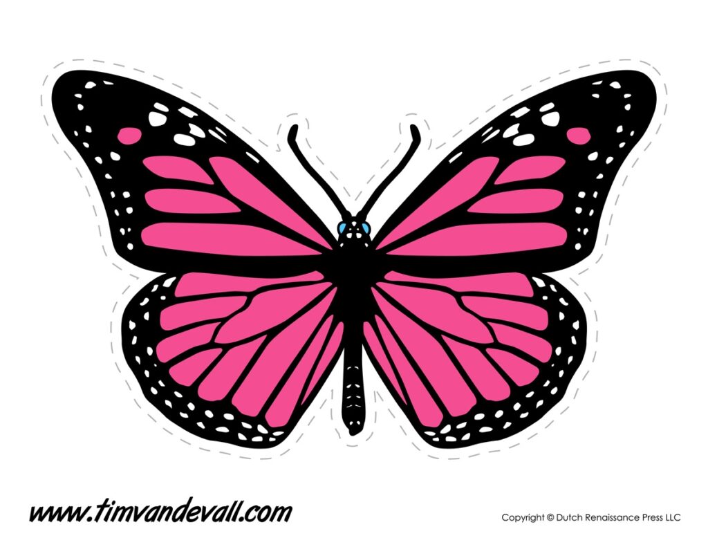 Printable Butterfly Tim Van De Vall
