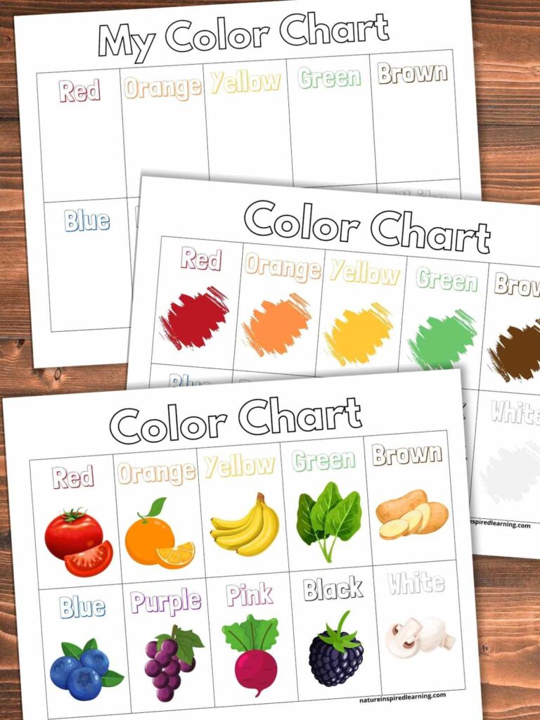 Printable Color Chart Pdf Infoupdate