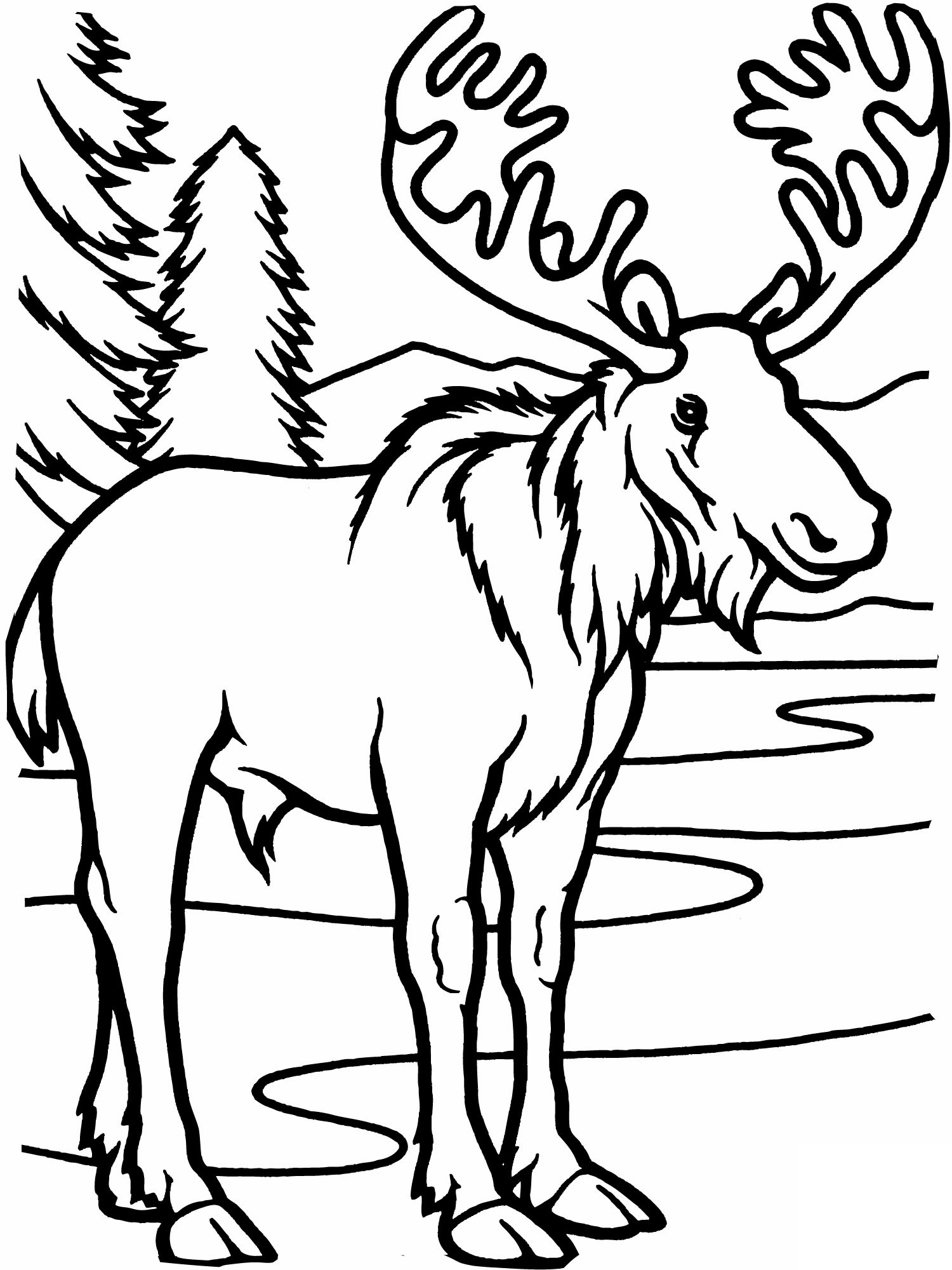 Printable Coloring Pages